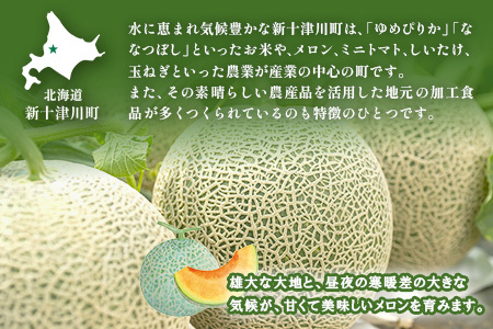 【先行予約】【数量限定】 赤肉メロン２玉【令和８年７月～８月上旬発送】【12031】