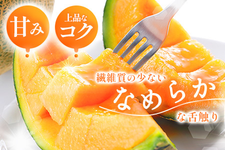 【先行予約】【数量限定】 赤肉メロン3玉【令和８年７月～８月上旬発送】【12032】