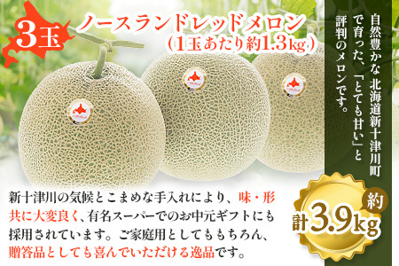 【先行予約】【数量限定】 赤肉メロン3玉【令和８年７月～８月上旬発送】【12032】