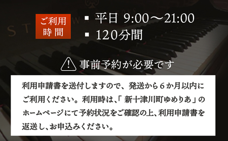 スタインウェイピアノ試弾券（120分）　※平日限定（午前９時～午後９時）【2100101】