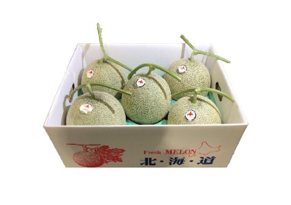 2002 メロン1箱 ※7月~8月上旬のお届け