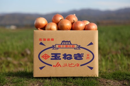 1111玉ねぎ(10㎏)【令和5年10月から発送】