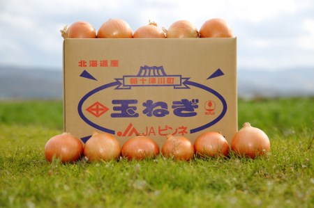 1502 玉ねぎ(20㎏)【令和5年10月から発送】
