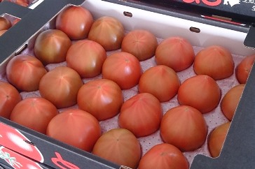 1201 清野ファーム高糖度トマト ※7月~8月にお届け