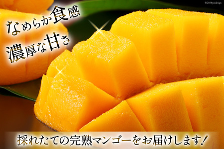 【期間限定発送】 完熟 マンゴー 「天空の輝き」 2L 2個入 季節限定 冷蔵[採園 山梨県 韮崎市 20743342] 