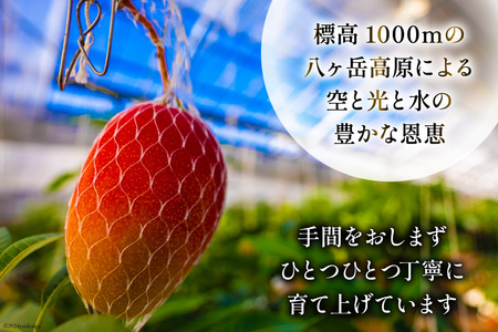 【期間限定発送】 完熟 マンゴー 「天空の輝き」 2L 2個入 季節限定 冷蔵[採園 山梨県 韮崎市 20743342] 