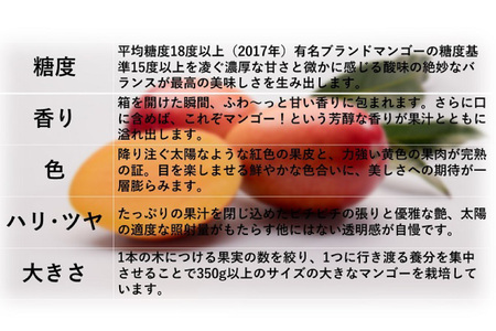 【期間限定発送】 完熟 マンゴー 「天空の輝き」 3L 2個入 季節限定 冷蔵[採園 山梨県 韮崎市 20743343]