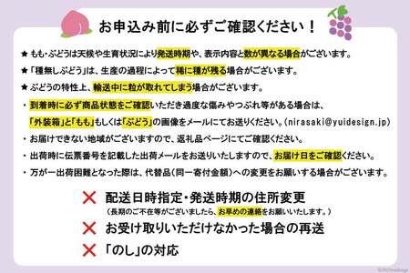 【2026年発送】先行予約 ぶどう3色セット 3房 約 1.6kg シャインマスカット 食べ比べ  季節限定  産直 [鈴木ぶどう園 山梨県 韮崎市 20742852]