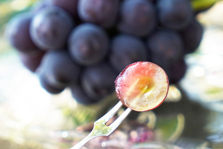 【2026年発送】先行予約 ぶどう3色セット 3房 約 1.6kg シャインマスカット 食べ比べ  季節限定  産直 [鈴木ぶどう園 山梨県 韮崎市 20742852]