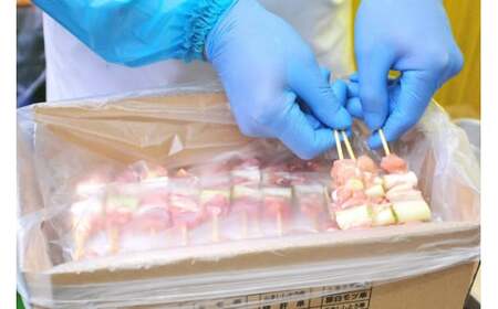 焼き鳥 4種5本(20本セット)  焼鳥  鶏肉 冷凍 小分け  [山本食肉 山梨県 韮崎市 20743346]