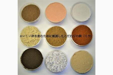 こだわり卵 穂坂のももたま 10個 3P 30個 [ハイチック 山梨県 韮崎市 20743393]