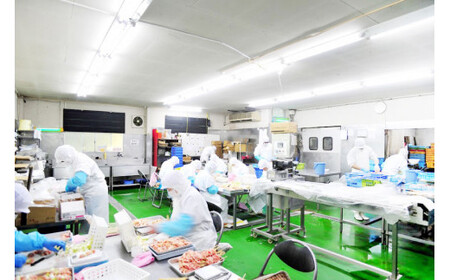 焼き鳥 9種  やきとり 焼鳥 セット 冷凍 小分け 国産 ［山本食肉 山梨県 韮崎市 20743348]