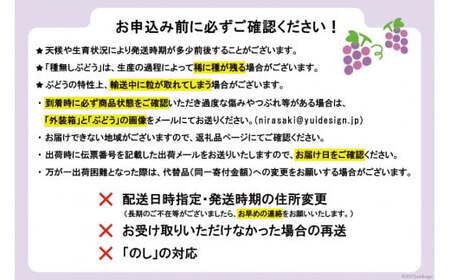 【2026年発送】【当日収穫！当日出荷！】巨峰（種なし） 2kg [モリモリファーム 山梨県 韮崎市 20742846]