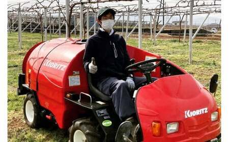 【2026年発送】【当日収穫！当日出荷！】巨峰（種なし） 2kg [モリモリファーム 山梨県 韮崎市 20742846]