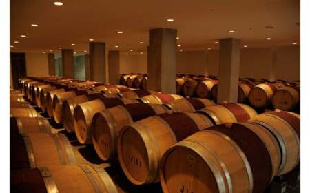 ロゼワイン スパークリング 日本のあわ 720ml 1本 マスカット・ベーリーＡ メルロー [シャトー・メルシャン 勝沼ワイナリー 山梨県 韮崎市 20743128]