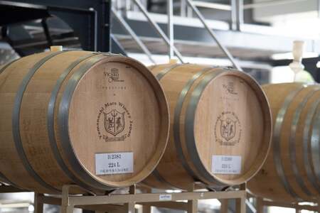 【ふるなび限定】 【JWC2022銀賞受賞】 ワイン 白 やや辛口 甲州オランジュ･グリ 750ml [本坊酒造 マルス穂坂ワイナリー 山梨県 韮崎市 20745013] FN-Limited-SP