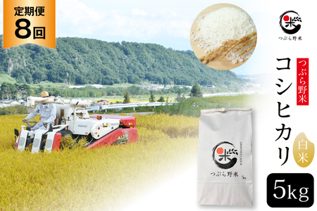 米 令和7年 8回 定期便 つぶら野米 コシヒカリ 白米 5kg×8回 総計40kg [つぶら野米 山梨県 韮崎市 20743440] こめ コメ お米 精米 こしひかり
