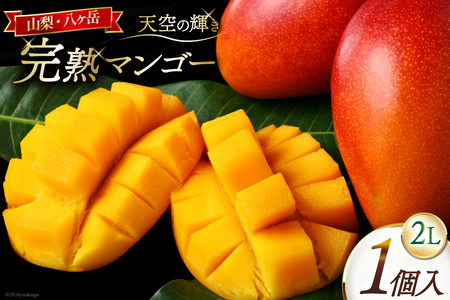 【期間限定発送】 完熟 アップルマンゴー 「天空の輝き」 2L 1個 [採園 山梨県 韮崎市 20743270]