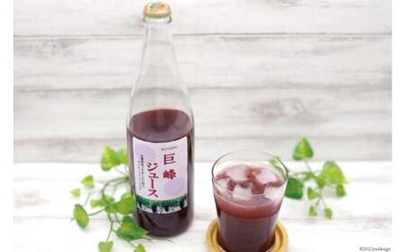 無添加 巨峰 100％ ストレート ジュース 720ml×2本 [近藤農園 山梨県 韮崎市 20743097]