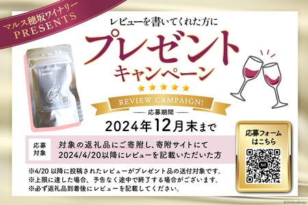 ワイン 赤 白 おまかせ マルスワイン2本セット ～春の陣～ [本坊酒造 マルス穂坂ワイナリー 山梨県 韮崎市 20742261]赤ワイン 白ワイン 辛口 春のワイン シャトーマルス