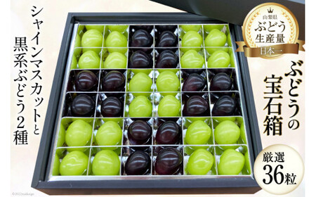 ぶどう 2026年発送 シャインマスカット ぶどうの宝石箱 36粒 [20743249]