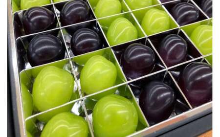 ぶどう 2026年発送 シャインマスカット ぶどうの宝石箱 36粒 [20743249]