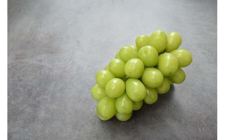 【2026年発送】シャインマスカット 予約 約 2kg  NS-1001 韮崎翠緑セレクト[韮崎翠緑 山梨県 韮崎市 20742826]