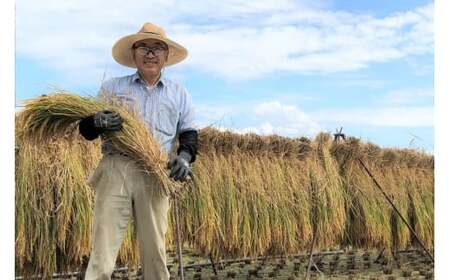 米 令和7年 ゆうだい21 白米 5kg×2袋 計10キロ [穂足農園 山梨県 韮崎市 20745226] ご飯 美味しい