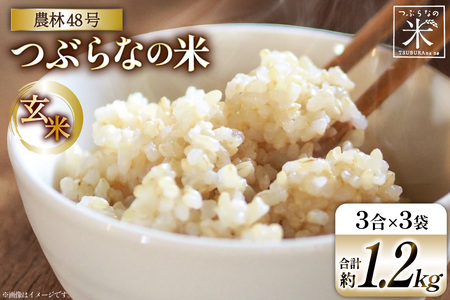 令和7年 米 農林48号 玄米 3合 3袋 [つぶらな 山梨県 韮崎市 20741897] 