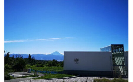 ワイン 白 辛口 一升瓶|ワインマルスワインブラン 1800ml [本坊酒造 マルス穂坂ワイナリー 山梨県 韮崎市 20743453] 