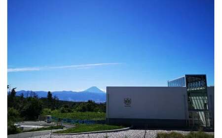 ワイン 赤 ミディアムボディ 一升瓶 1.8L |マルスワインシルバー 1800ml [本坊酒造 マルス穂坂ワイナリー 山梨県 韮崎市 20743449]