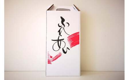 ワイン 赤 白  ミディアムボディ ＆ 中口  一升瓶  マルスワインシルバー 3600ml  2本セット [本坊酒造 マルス穂坂ワイナリー 山梨県 韮崎市 20743452] 