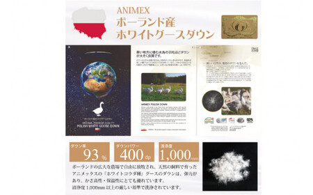 羽毛布団 シングル 冬用 本掛け 80番手サテン (エリーヌピンク 赤 柄 ) 高級｜[川村羽毛 山梨県 韮崎市 20743579]