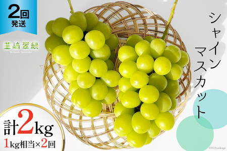 【2026年発送 定期便 】【2回発送】シャインマスカット 予約 1kg 相当× 2回 計 2kg シャイン 山梨 やまなし フルーツ 果物 くだもの ぶどう ブドウ 葡萄 種なし 山梨県産 期間限定 季節限定 NS-1013 [韮崎翠緑 山梨県 韮崎市 20743498]
