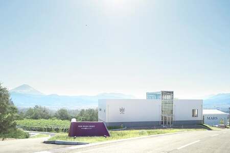 ワイン 赤 飲み比べ  4本 セット ソムリエセレクト 詰め合わせ  [本坊酒造 マルス穂坂ワイナリー 山梨県 韮崎市 20743505] 