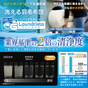 【春夏用】洗える羽毛布団  シングル 肌掛け  青系｜[川村羽毛 山梨県 韮崎市 20743698]