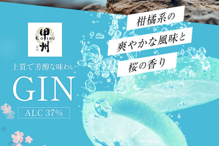 甲州韮崎 ジン 700ml 2本 セット スピリッツ 蒸留酒 国産 カクテル アルコール JIN ソーダ割り GIN ロック ボタニカル ギフト 晩酌 [マツムラ酒販 山梨県 韮崎市 20742608]