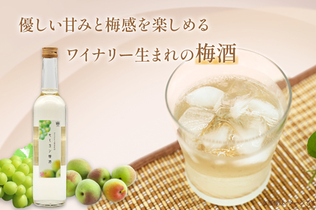 梅酒 白 やや甘口 セミヨン梅酒 500ml 酒 リキュール  [本坊酒造 マルス穂坂ワイナリー 山梨県 韮崎市 20742612] 