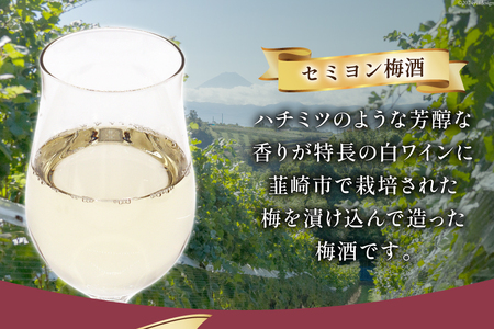 梅酒 白 やや甘口 セミヨン梅酒 500ml 酒 リキュール  [本坊酒造 マルス穂坂ワイナリー 山梨県 韮崎市 20742612] 