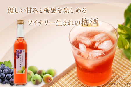 梅酒 やや甘口 アジロン梅酒 500ml 酒 リキュール 梅酒 [本坊酒造 マルス穂坂ワイナリー 山梨県 韮崎市 20742611]