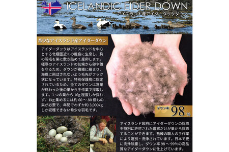 【冬用】最高級 軽量 羽毛布団 セミダブル 本掛け ｜[川村羽毛 山梨県 韮崎市 20742565]