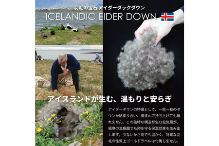 【冬用】最高級 軽量 羽毛布団 セミダブル 本掛け ｜[川村羽毛 山梨県 韮崎市 20742565]