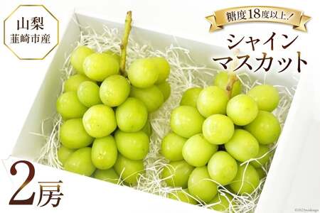 【2025年発送】ぶどう シャインマスカット 約550g×2 計約1.1kg 韮崎市産 [Inakakara 山梨県 韮崎市 20742821] フルーツ 果物 ブドウ 葡萄 山梨県産 産地直送 期間限定 季節限定 冷蔵