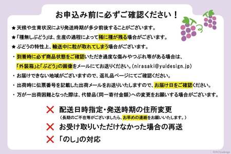 【2025年発送】ぶどう シャインマスカット 約550g×2 計約1.1kg 韮崎市産 [Inakakara 山梨県 韮崎市 20742821] フルーツ 果物 ブドウ 葡萄 山梨県産 産地直送 期間限定 季節限定 冷蔵