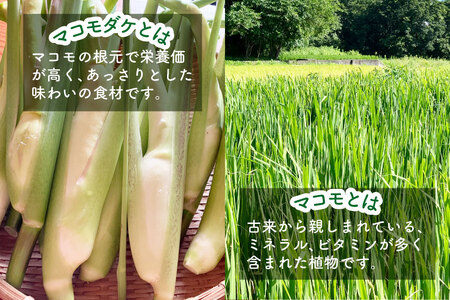 マコモ体験チケット（3,000円分）田植え 収穫 マコモ料理 手仕事体験 [マコモ農園さんさん 山梨県 韮崎市 20742712]