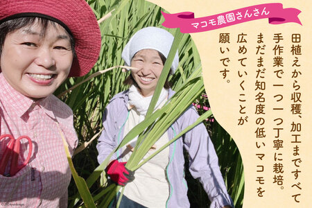 マコモ体験チケット（3,000円分）田植え 収穫 マコモ料理 手仕事体験 [マコモ農園さんさん 山梨県 韮崎市 20742712]