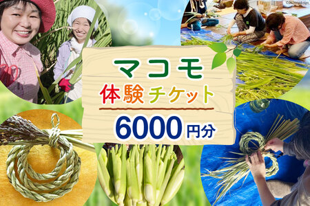 マコモ体験チケット（6,000円分）田植え 収穫 マコモ料理 手仕事体験 [マコモ農園さんさん 山梨県 韮崎市 20742713]