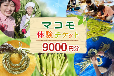 マコモ体験チケット（9,000円分）田植え 収穫 マコモ料理 手仕事体験 [マコモ農園さんさん 山梨県 韮崎市 20742714]
