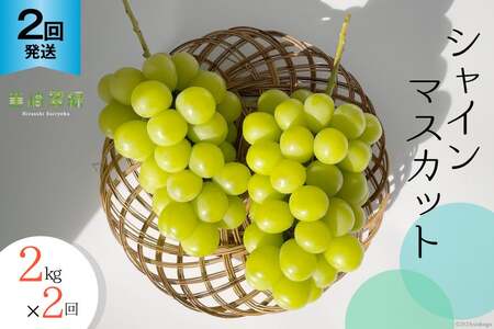 【2026年発送 定期便 】【2回発送】シャインマスカット 予約 2kg 相当× 2回 計 4kg シャイン 山梨 やまなし ぶどう ブドウ 葡萄 マスカット 種なし 果物 フルーツ 山梨県産 産地直送 期間限定 季節限定 冷蔵NS-1011 韮崎翠緑セレクト [韮崎翠緑 山梨県 韮崎市 20742828]