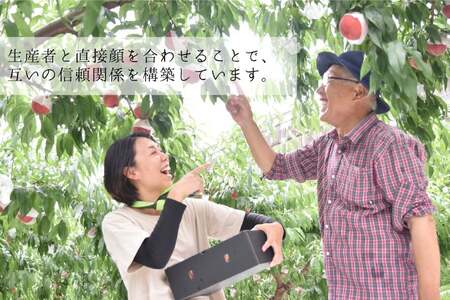 【2026年発送 定期便 】【2回発送】シャインマスカット 予約 2kg 相当× 2回 計 4kg シャイン 山梨 やまなし ぶどう ブドウ 葡萄 マスカット 種なし 果物 フルーツ 山梨県産 産地直送 期間限定 季節限定 冷蔵NS-1011 韮崎翠緑セレクト [韮崎翠緑 山梨県 韮崎市 20742828]